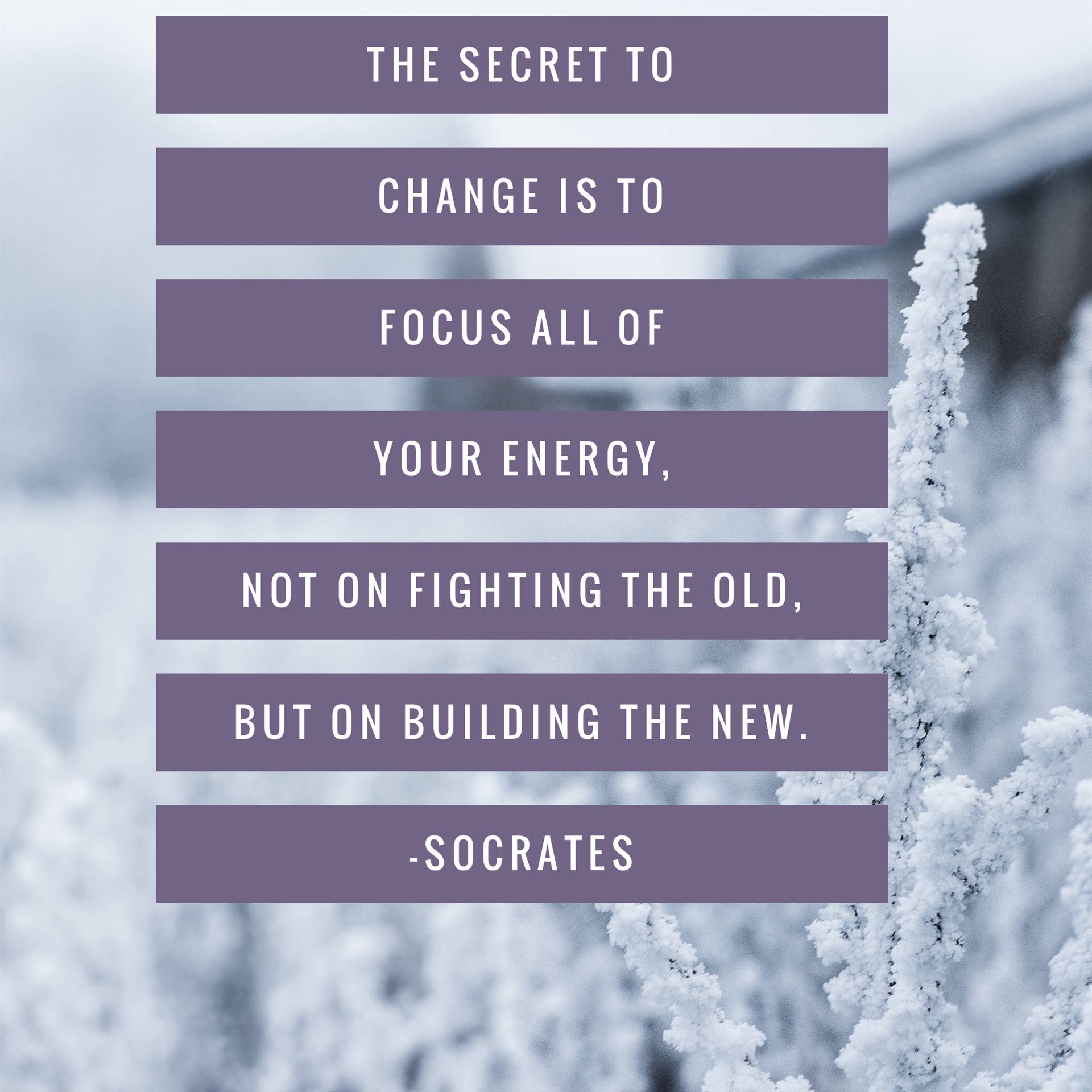 Socrates Quote