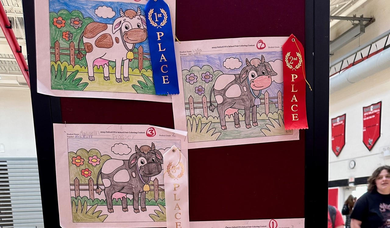 School fair - PS studens colored pictures of a cow