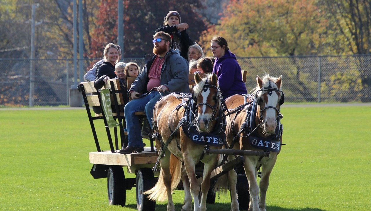 School fair - horse wagon rides