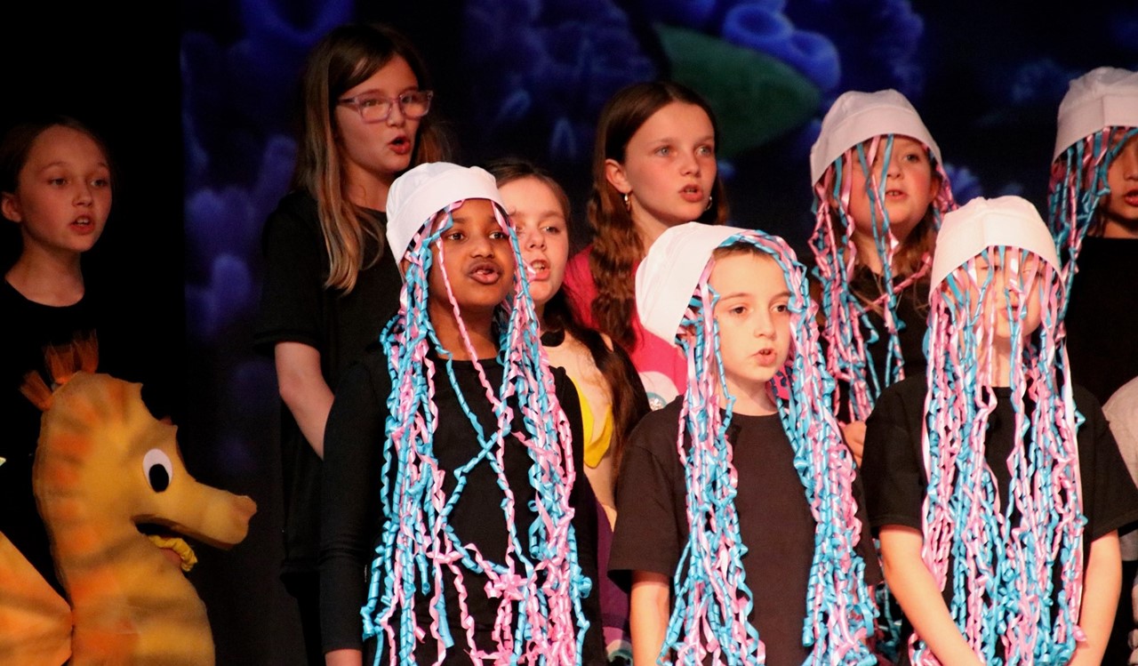 Finding nemo play
